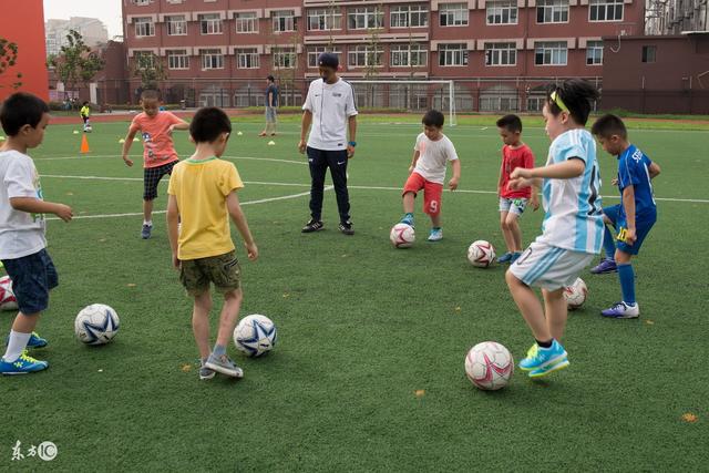 体育总局副局长点名批评男篮：暴露出太多问题