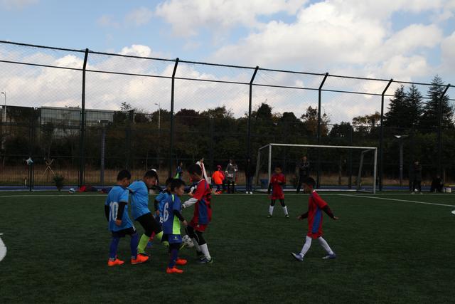 南安普顿主帅：利物浦是目前英国状态最好球队